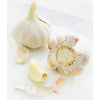 Natural Garlic 